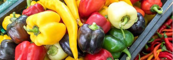 蔬菜冰冻能保存多久