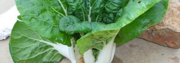 洗过的蔬菜如何保鲜