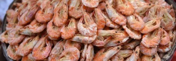 生晒和熟晒虾干的区别