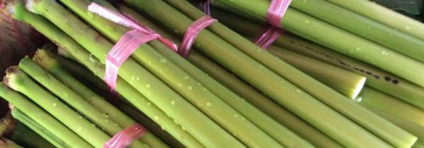 甜杆和甘蔗有什么区别