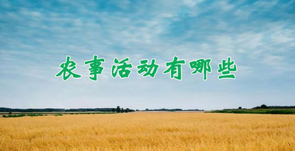 农事活动有哪些