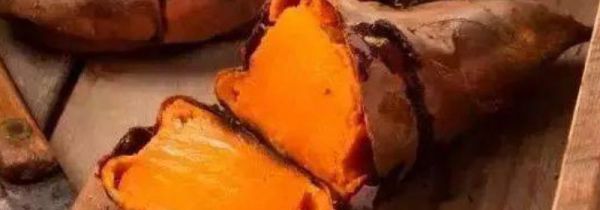 烤红薯会长胖吗