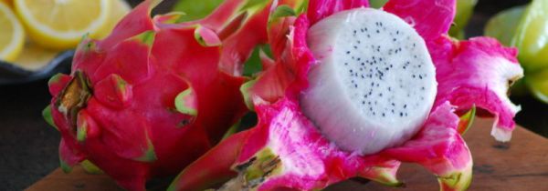 火龙果降火还是上火的