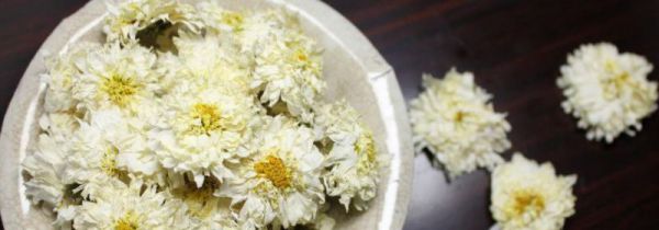 滁菊的功效与作用