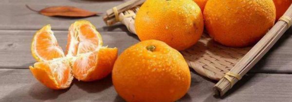 桔子哪些人不能吃