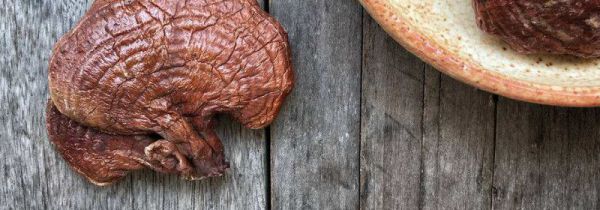 红灵芝的功效与作用及食用方法