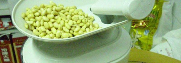 榨豆浆黄豆要泡多久
