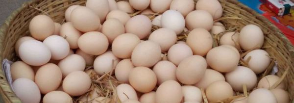 如何检验鸡蛋是否煮熟