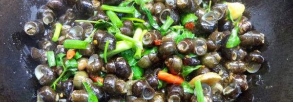 田螺炒多久才熟才杀菌