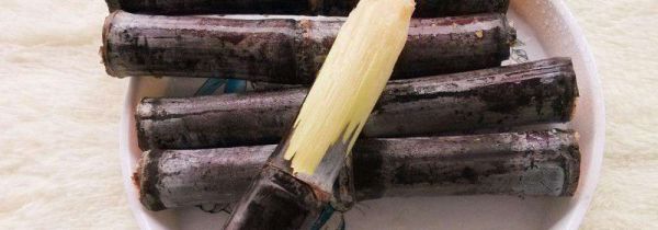 甘蔗去火吗