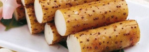 毛山药是脆的还是软的