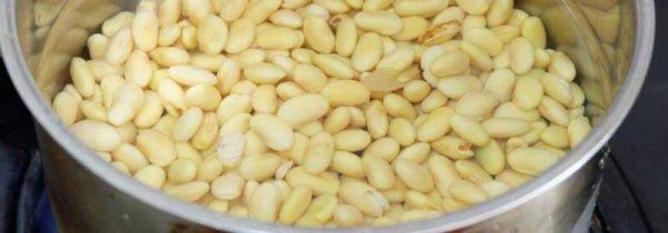 黄豆水浇花稀释多少倍