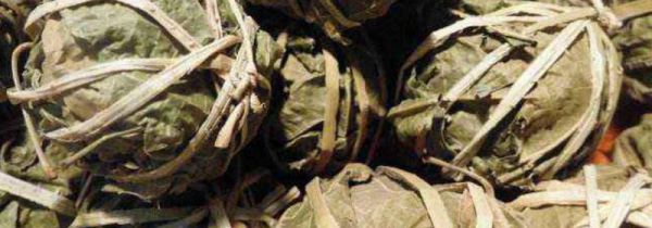 鹧鸪茶对肾有副作用吗