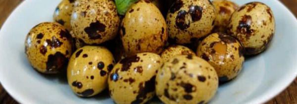 鹌鹑蛋可以和鸡蛋一起吃吗