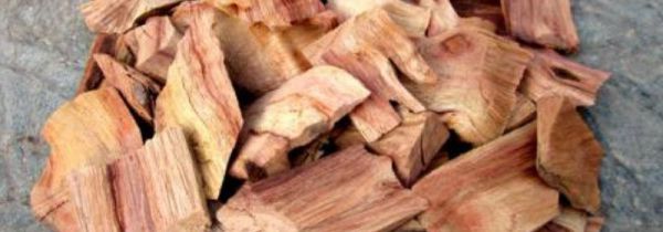 樟木的功效与作用及禁忌