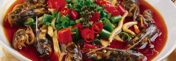 黄辣丁什么人禁吃