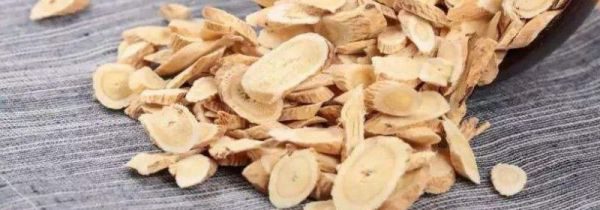 黄芪生虫了还能泡水吗