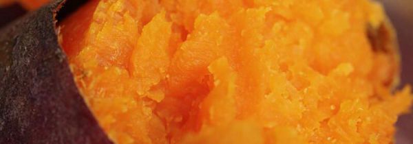 蜜薯和地瓜有什么区别