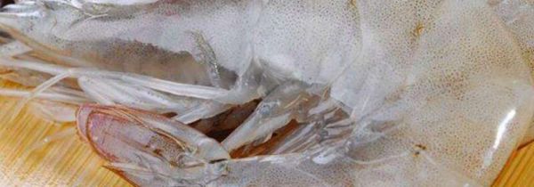 虾和咖啡能一起吃吗