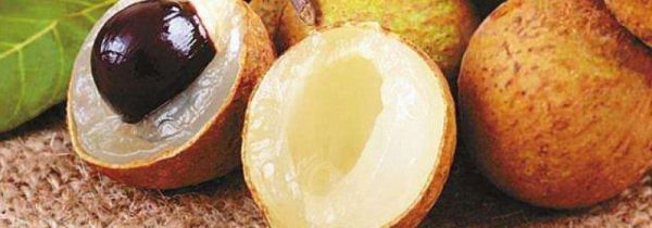 桂圆和鸡蛋能一起吃吗