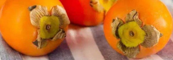 柿子和虾皮能一块吃吗