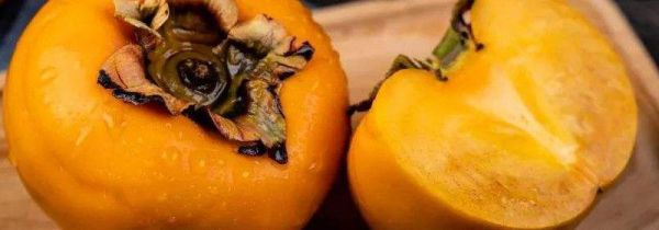 柿子和干桂圆能一起吃吗