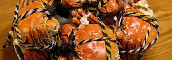 大闸蟹和虾可以一起吃吗