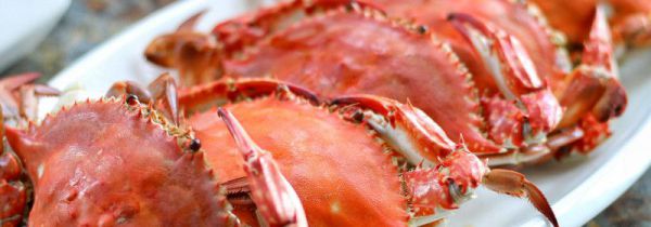 螃蟹和苦瓜能一起吃吗