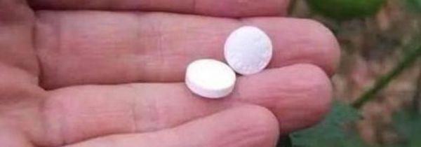 过期的维生素b有何妙用