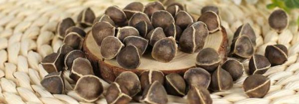 辣木籽保质期是多长时间