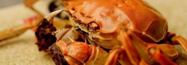 螃蟹可不可以和香蕉一起吃