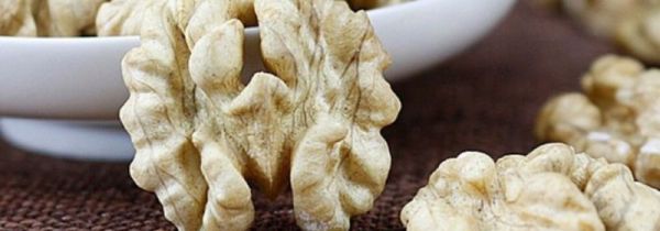 豆浆和核桃能一起打吗