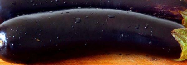 茄子和平菇能一起吃吗