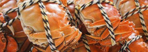 大闸蟹可不可以和牛肉一起吃