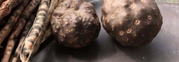 脚板苕和山药功效区别