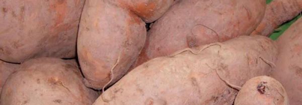 红薯可以空腹吃吗