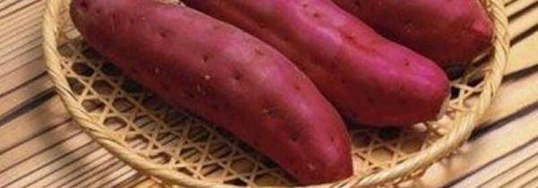 红薯可以与可以同鸡蛋一起吃吗