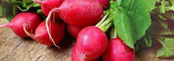 红萝卜和鸡肉能一起吃吗