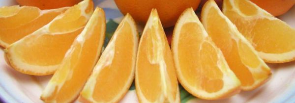 柿子和橙子能一起吃吗