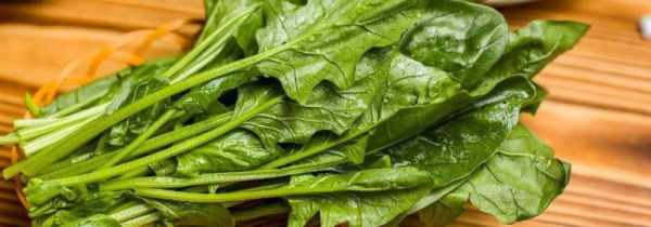 菠菜红萝卜能一起吃吗