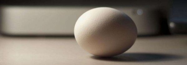 吃鸡蛋能代替吃肉吗