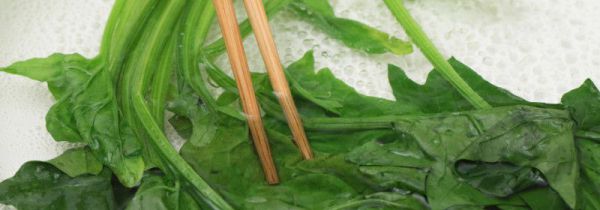 菠菜水泡黑色衣服步骤