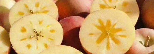 苹果糖心是如何形成的