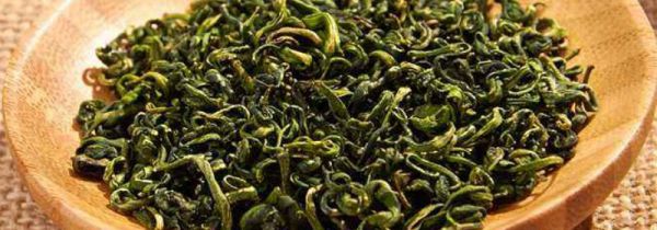 枸杞芽茶的副作用