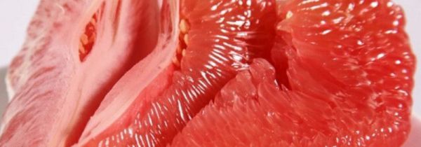 吃红柚会长胖吗