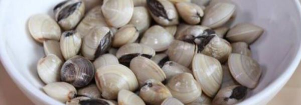 白贝是寒凉食物吗