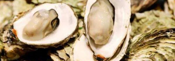 生蚝里面绿色的能吃吗