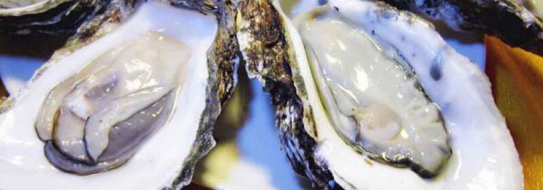 生蚝死了能吃了吗