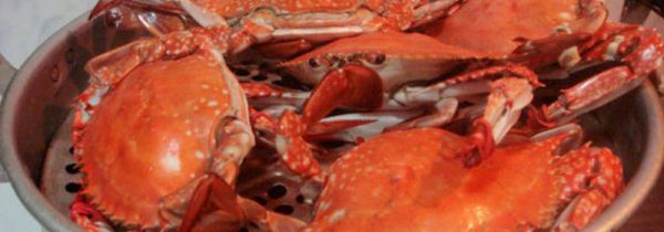 吃完螃蟹能不能喝咖啡