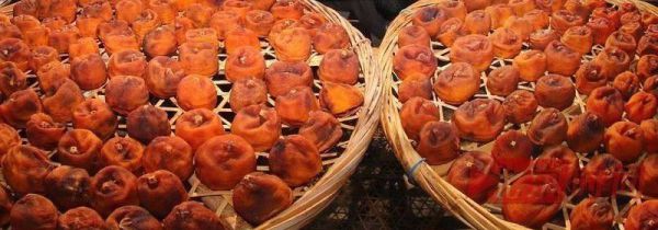 晒柿饼遇到阴天怎么办